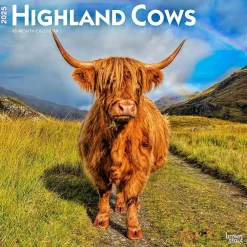 2025 Calendars|BrownTrout 2025 Highland Cows 12" x 12" Monthly Square Wall Calendar (9781975478377)