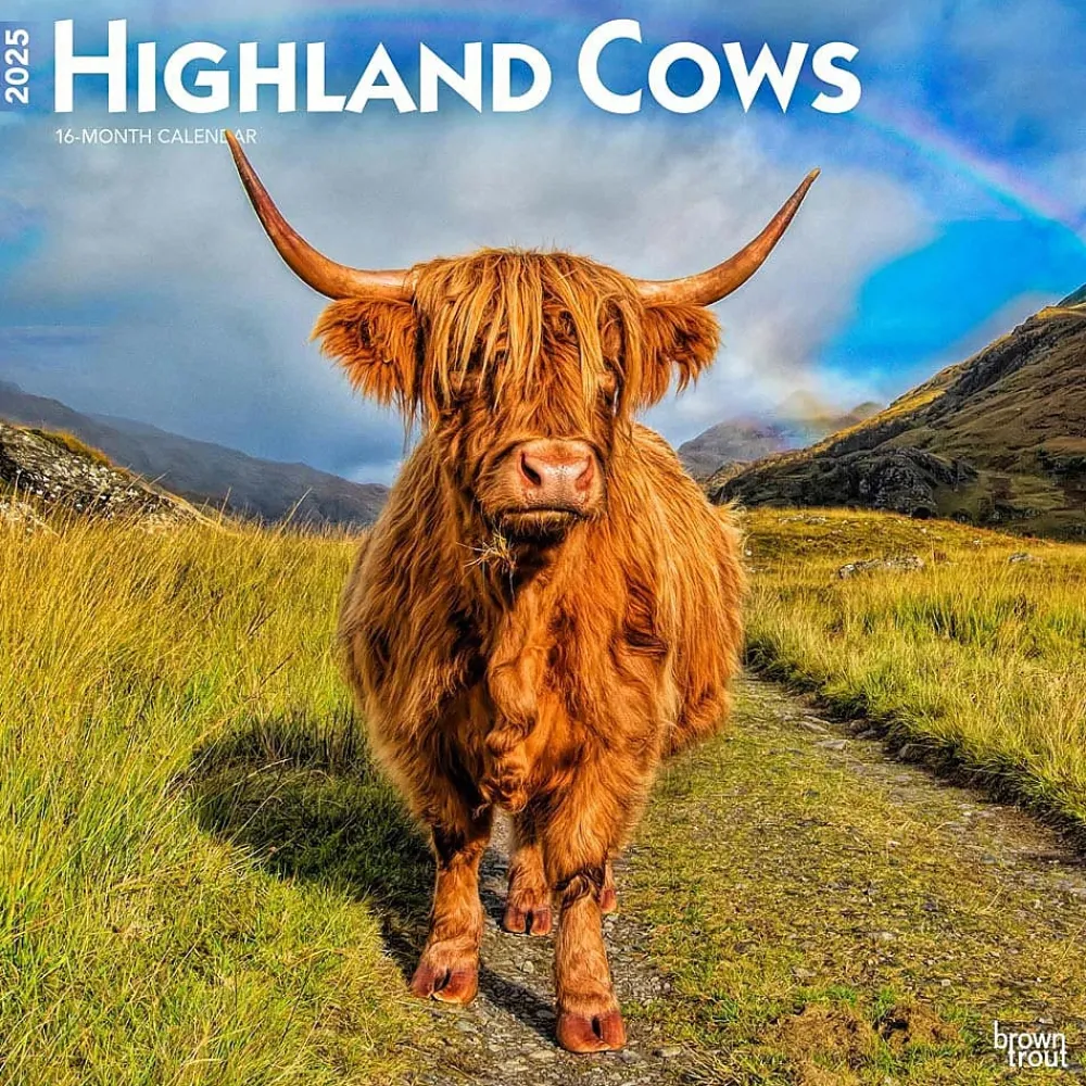 2025 Calendars|BrownTrout 2025 Highland Cows 12" x 12" Monthly Square Wall Calendar (9781975478377)