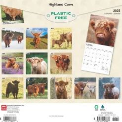 2025 Calendars|BrownTrout 2025 Highland Cows 12" x 12" Monthly Square Wall Calendar (9781975478377)