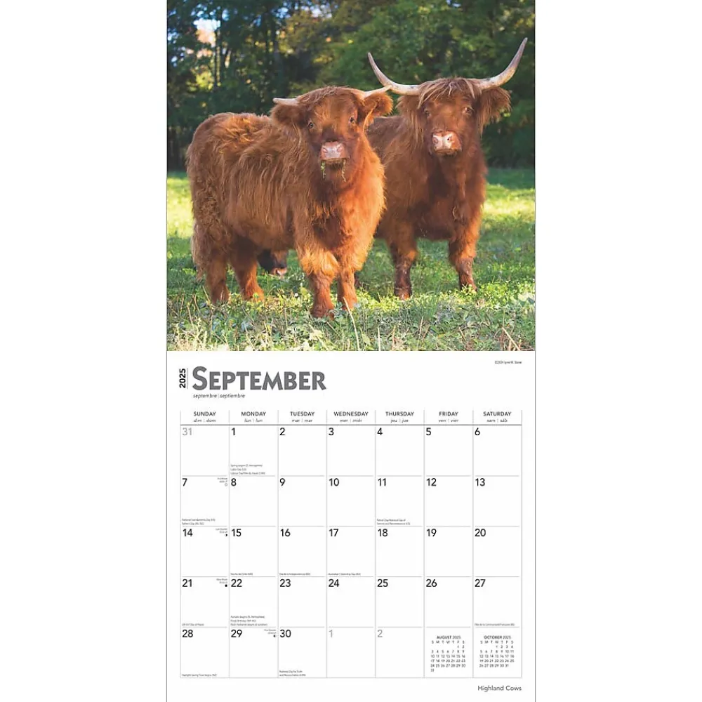2025 Calendars|BrownTrout 2025 Highland Cows 12" x 12" Monthly Square Wall Calendar (9781975478377)