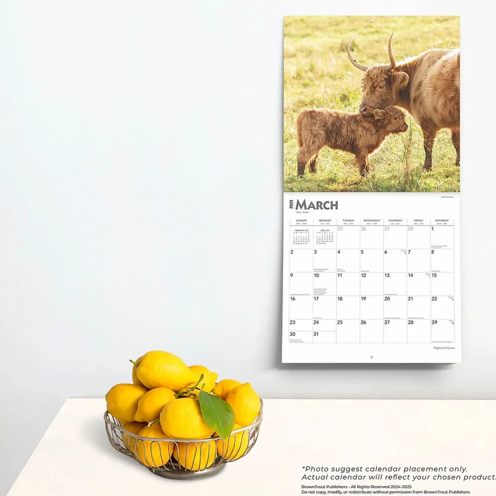 2025 Calendars|BrownTrout 2025 Highland Cows 12" x 12" Monthly Square Wall Calendar (9781975478377)