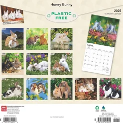 2025 Calendars|BrownTrout 2025 Honey Bunny 12" x 12" Monthly Wall Calendar (9781975474911)