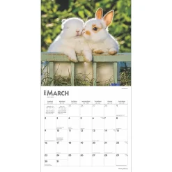2025 Calendars|BrownTrout 2025 Honey Bunny 12