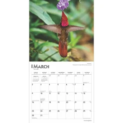 2025 Calendars|BrownTrout 2025 Hummingbirds 12