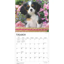 2025 Calendars|BrownTrout 2025 I Love Puppies 12