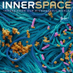 2025 Calendars|BrownTrout 2025 Innerspace 12" x 12" Monthly Square Wall Calendar (9781975481438)