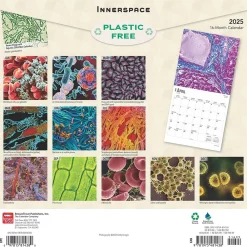 2025 Calendars|BrownTrout 2025 Innerspace 12" x 12" Monthly Square Wall Calendar (9781975481438)