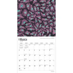 2025 Calendars|BrownTrout 2025 Innerspace 12