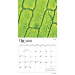 2025 Calendars|BrownTrout 2025 Innerspace 12