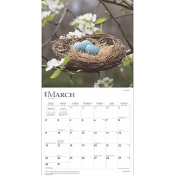 2025 Calendars|BrownTrout 2025 Inspiration 12