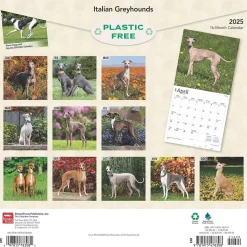 2025 Calendars|BrownTrout 2025 Italian Greyhounds 12" x 12" Monthly Wall Calendar (9781975478308)