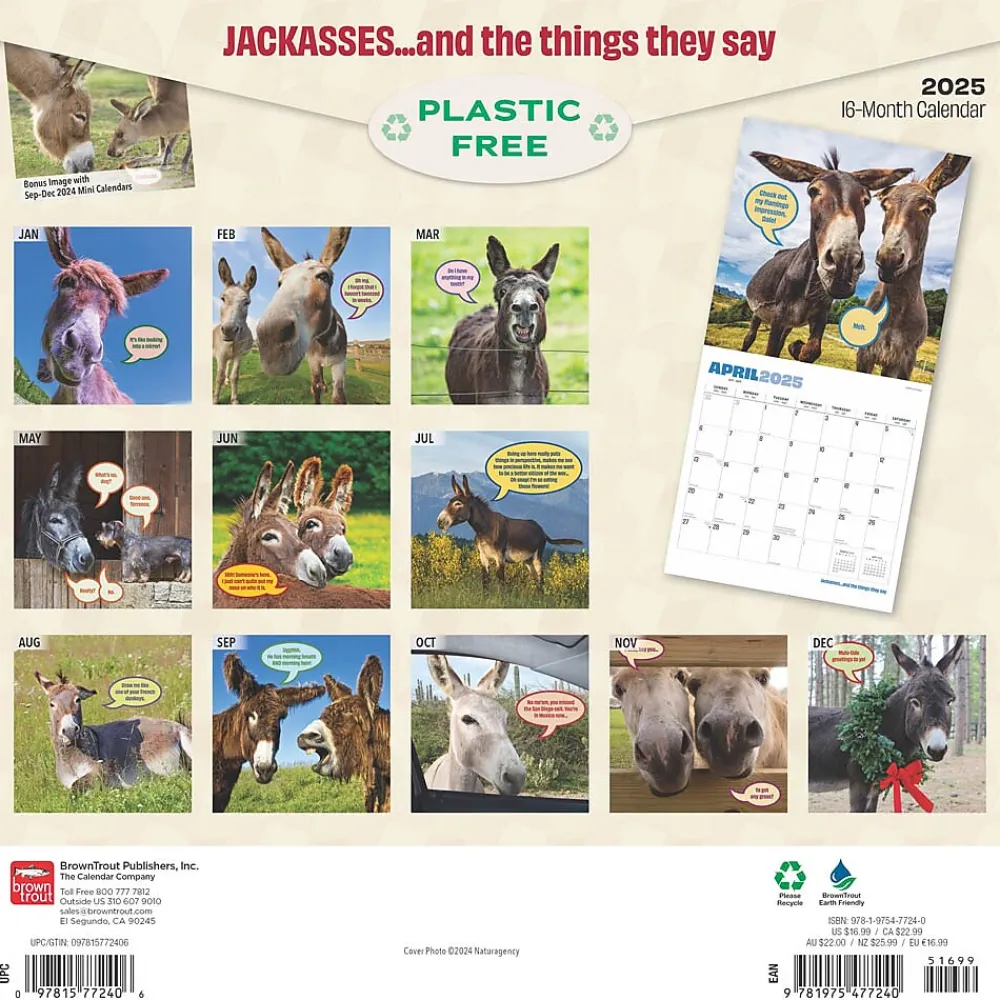2025 Calendars|BrownTrout 2025 Jackasses 12" x 12" Monthly Wall Calendar (9781975477240)