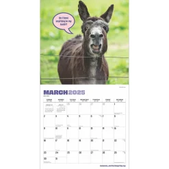 2025 Calendars|BrownTrout 2025 Jackasses 12