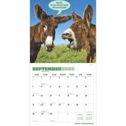 2025 Calendars|BrownTrout 2025 Jackasses 12
