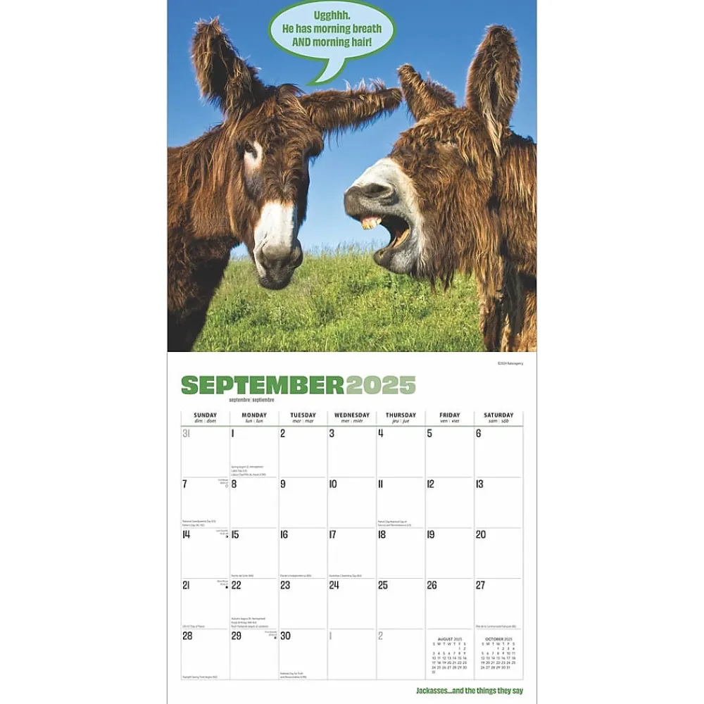 2025 Calendars|BrownTrout 2025 Jackasses 12" x 12" Monthly Wall Calendar (9781975477240)