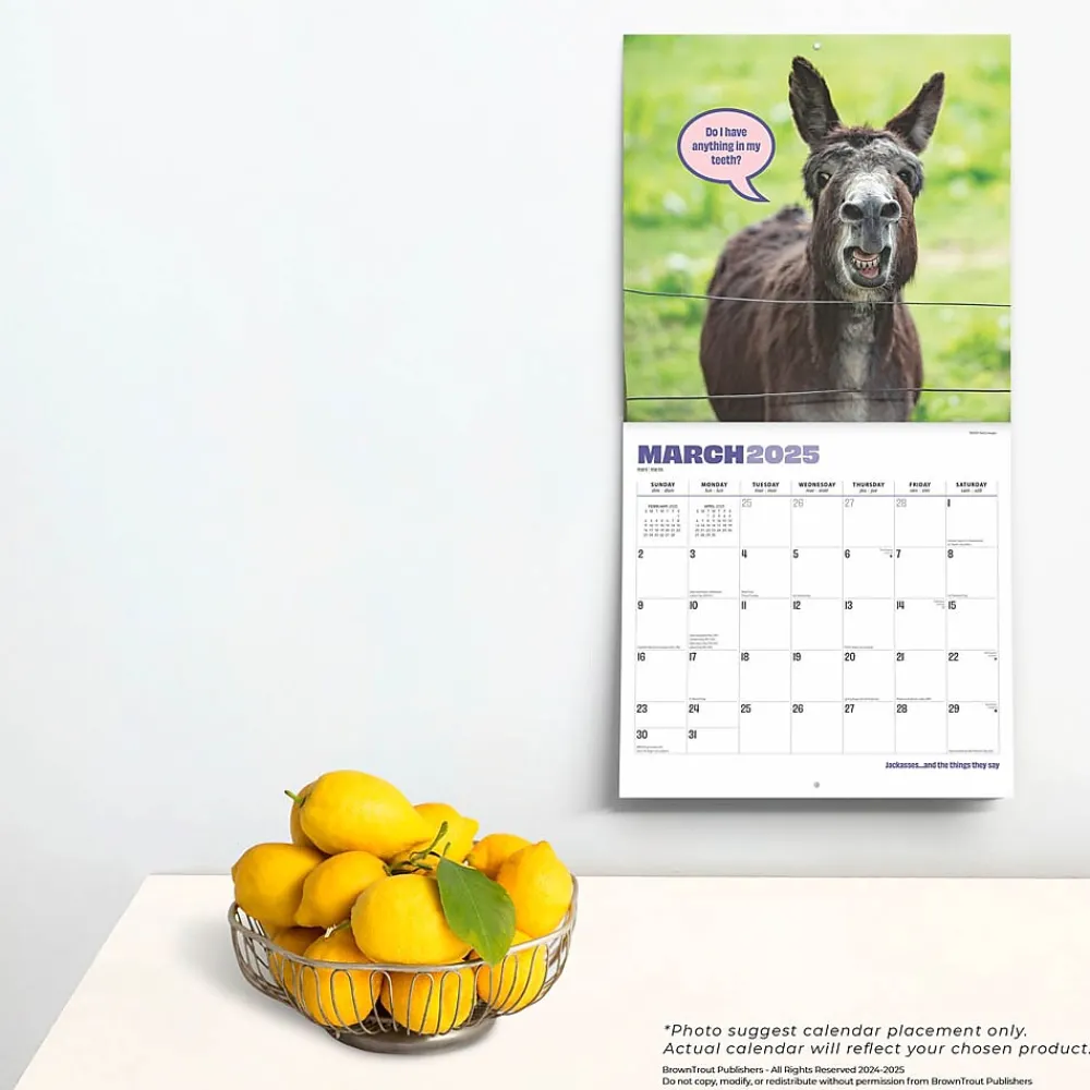 2025 Calendars|BrownTrout 2025 Jackasses 12" x 12" Monthly Wall Calendar (9781975477240)