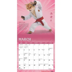 2025 Calendars|BrownTrout 2025 Karate Cats 7