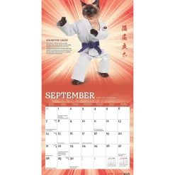 2025 Calendars|BrownTrout 2025 Karate Cats 7