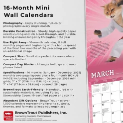 2025 Calendars|BrownTrout 2025 Karate Cats 7