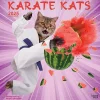2025 Calendars|BrownTrout 2025 Karate Cats 12" x 24" Monthly Square Wall Calendar, (9781975479831)