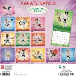 2025 Calendars|BrownTrout 2025 Karate Cats 12" x 24" Monthly Square Wall Calendar, (9781975479831)