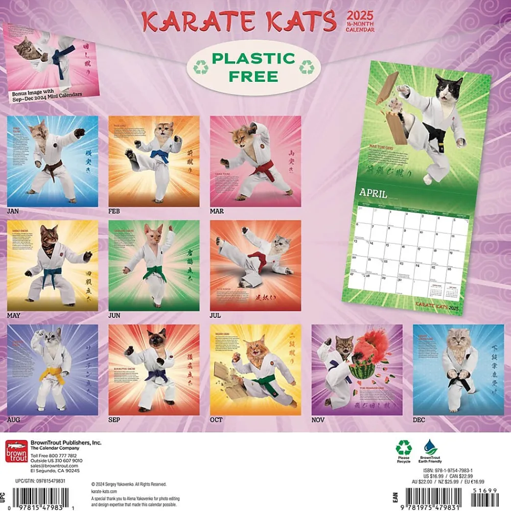 2025 Calendars|BrownTrout 2025 Karate Cats 12" x 24" Monthly Square Wall Calendar, (9781975479831)