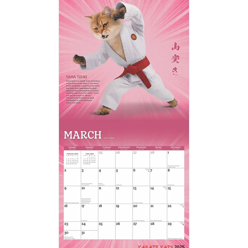 2025 Calendars|BrownTrout 2025 Karate Cats 12" x 24" Monthly Square Wall Calendar, (9781975479831)