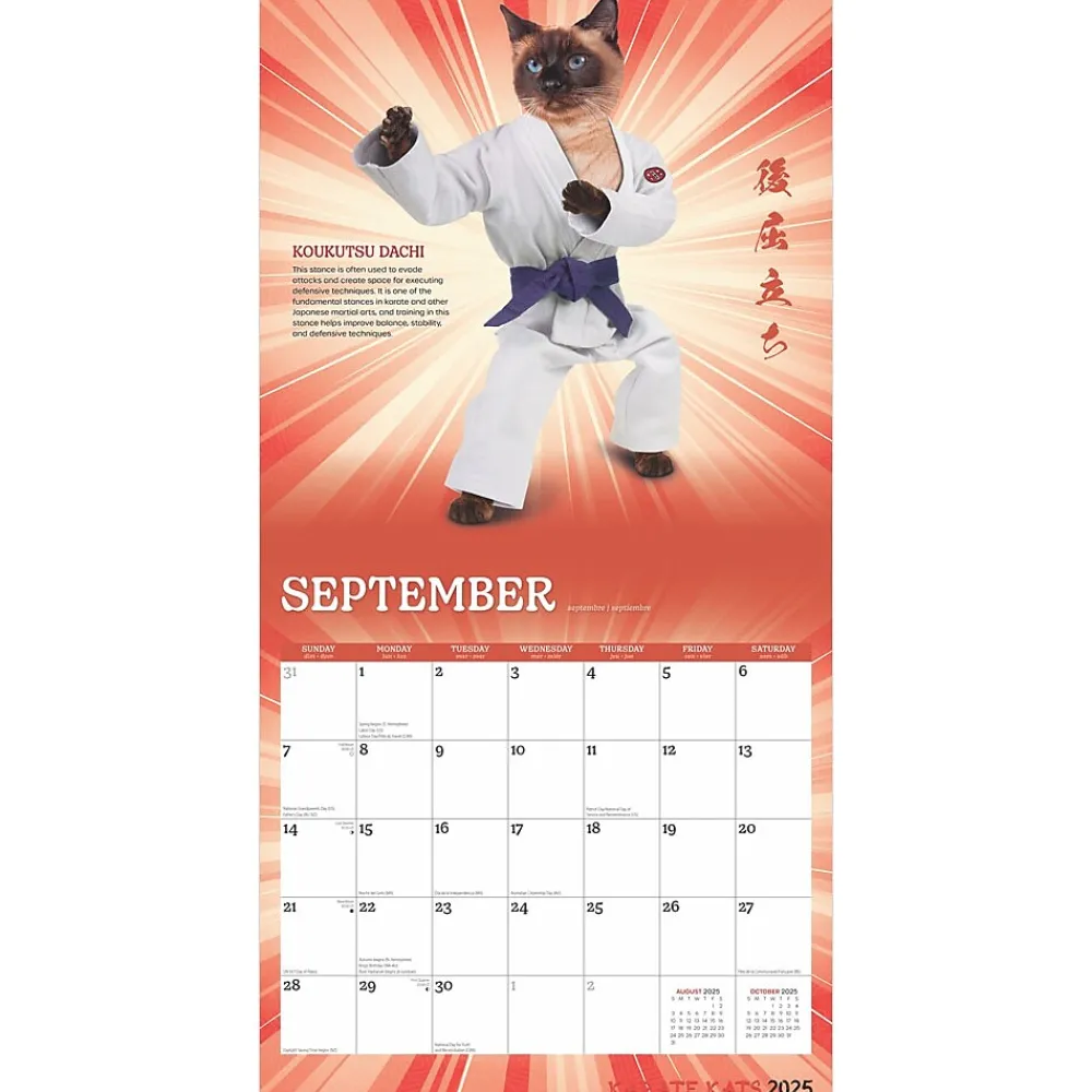 2025 Calendars|BrownTrout 2025 Karate Cats 12" x 24" Monthly Square Wall Calendar, (9781975479831)