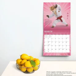 2025 Calendars|BrownTrout 2025 Karate Cats 12