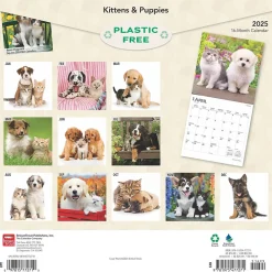 2025 Calendars|BrownTrout 2025 Kittens & Puppies 12" x 12" Monthly Wall Calendar (9781975477271)