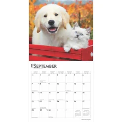 2025 Calendars|BrownTrout 2025 Kittens & Puppies 12
