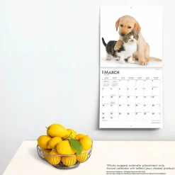 2025 Calendars|BrownTrout 2025 Kittens & Puppies 12