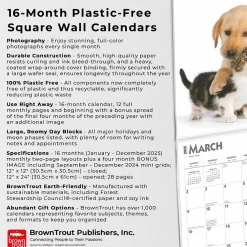 2025 Calendars|BrownTrout 2025 Kittens & Puppies 12