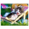 2025 Calendars|BrownTrout 2025 Kittens 7.5" x 6" Monthly Desk Calendar (9781975481629)