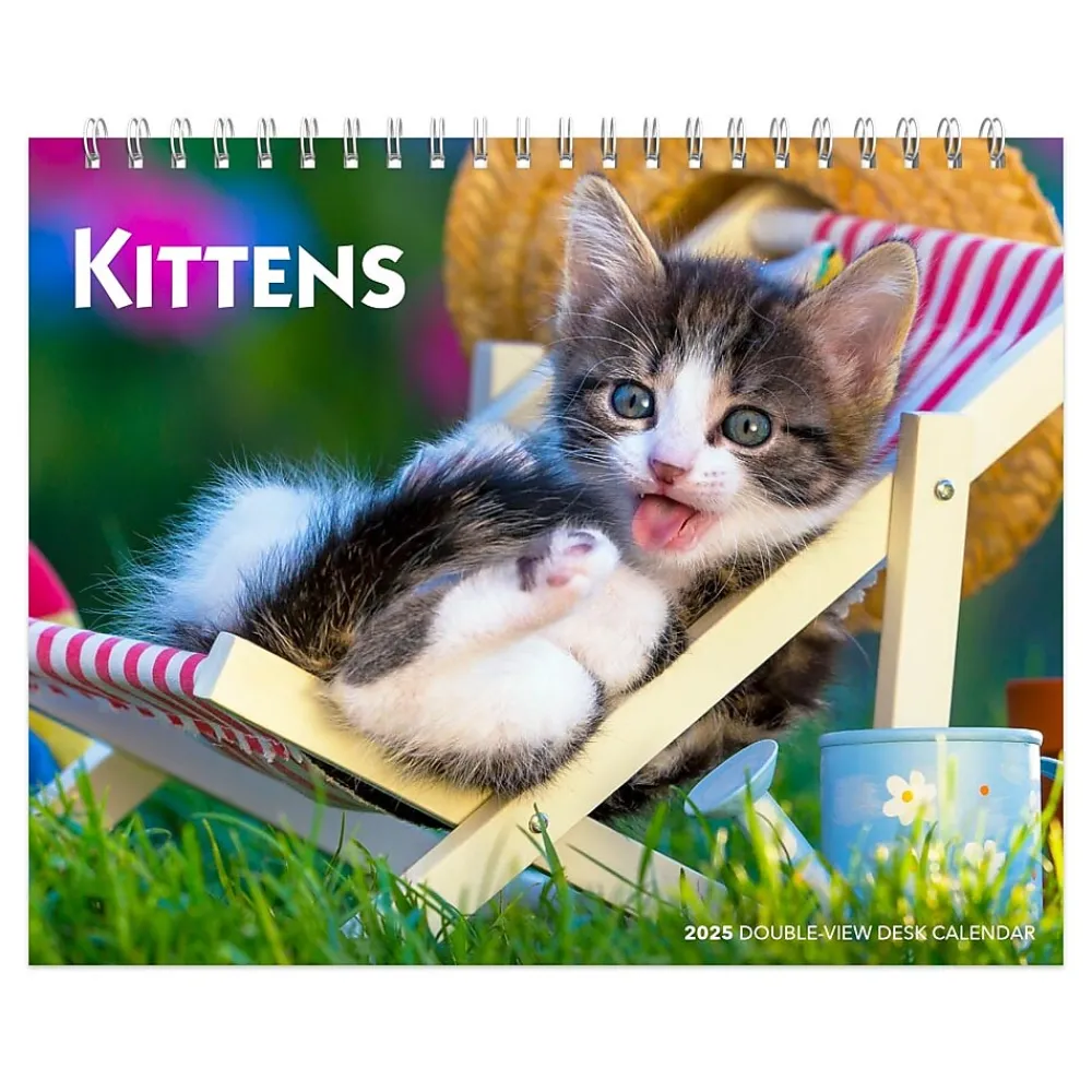 2025 Calendars|BrownTrout 2025 Kittens 7.5" x 6" Monthly Desk Calendar (9781975481629)