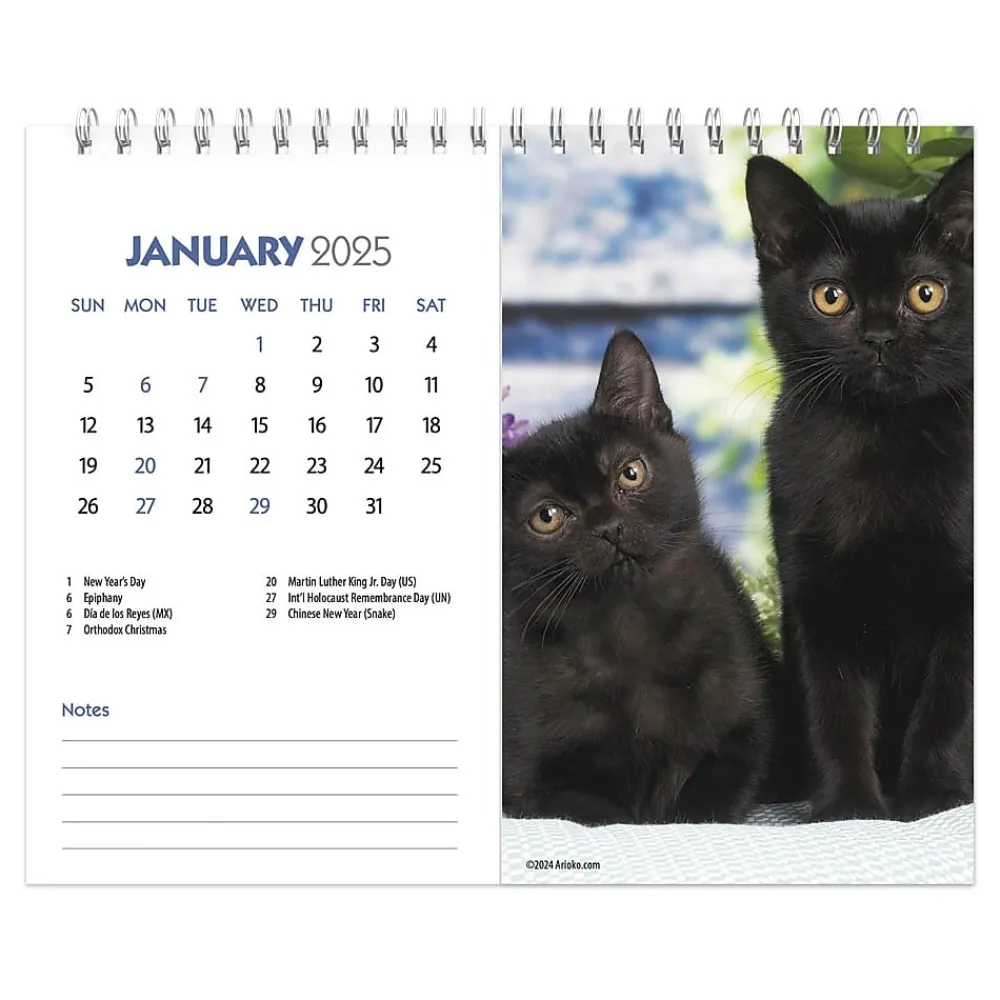 2025 Calendars|BrownTrout 2025 Kittens 7.5" x 6" Monthly Desk Calendar (9781975481629)