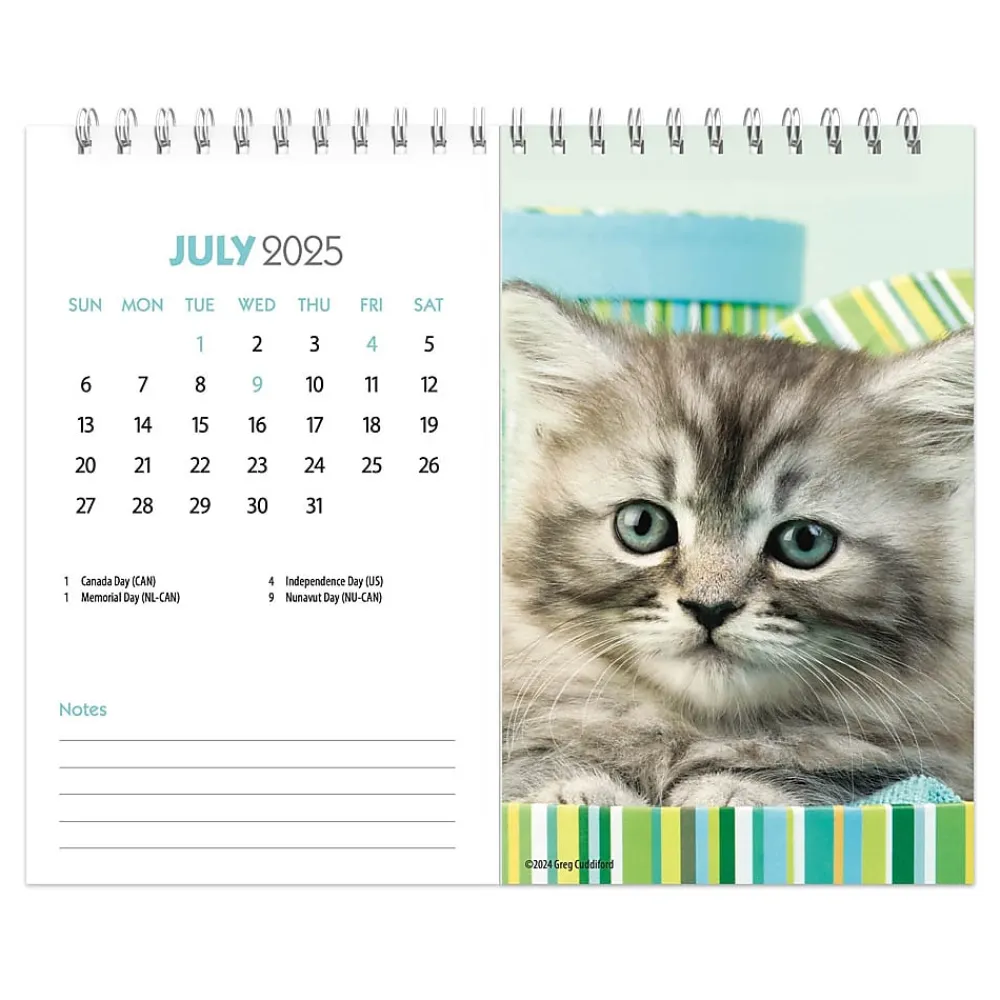 2025 Calendars|BrownTrout 2025 Kittens 7.5" x 6" Monthly Desk Calendar (9781975481629)