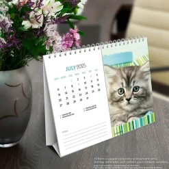 2025 Calendars|BrownTrout 2025 Kittens 7.5