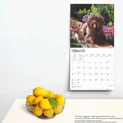 2025 Calendars|BrownTrout 2025 Labradoodles 12