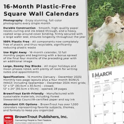 2025 Calendars|BrownTrout 2025 Lions 12