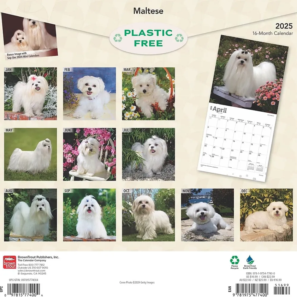 2025 Calendars|BrownTrout 2025 Maltese 12" x 12" Monthly Square Wall Calendar (9781975477400)