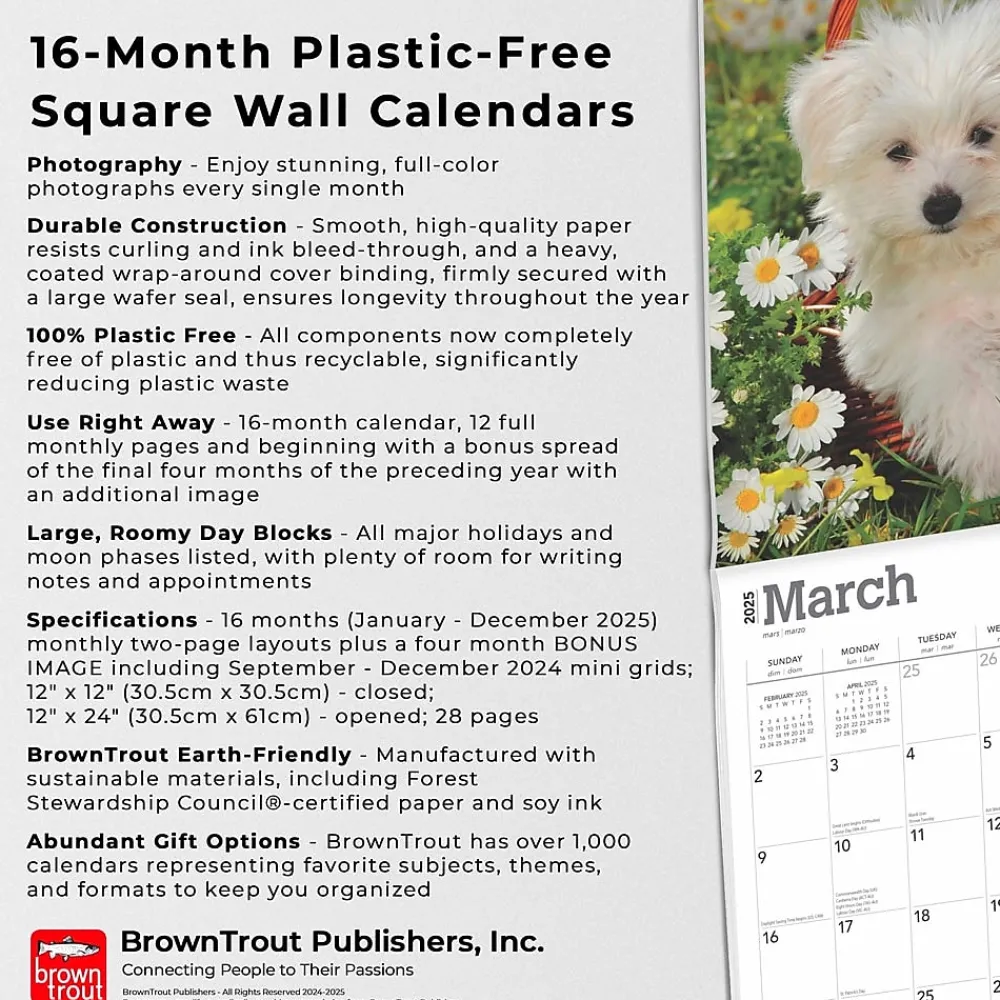 2025 Calendars|BrownTrout 2025 Maltese 12" x 12" Monthly Square Wall Calendar (9781975477400)