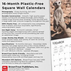 2025 Calendars|BrownTrout 2025 Meerkats 12