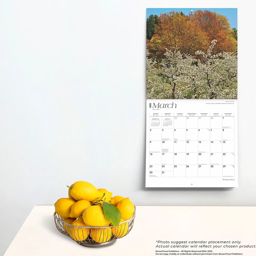 2025 Calendars|BrownTrout 2025 Michigan Nature 12" x 12" Monthly Square Wall Calendar (9781975475260)