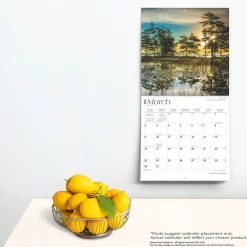 2025 Calendars|BrownTrout 2025 Michigan Wild & Scenic 12