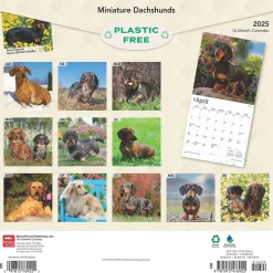 2025 Calendars|BrownTrout 2025 Miniature Dachshunds 12" x 24" Monthly Square Wall Calendar, (9781975476922)