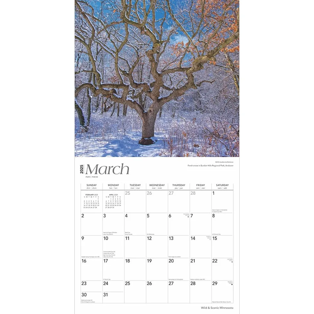 2025 Calendars|BrownTrout 2025 Minnesota Wild & Scenic 12" x 12" Monthly Square Wall Calendar (9781975475284)
