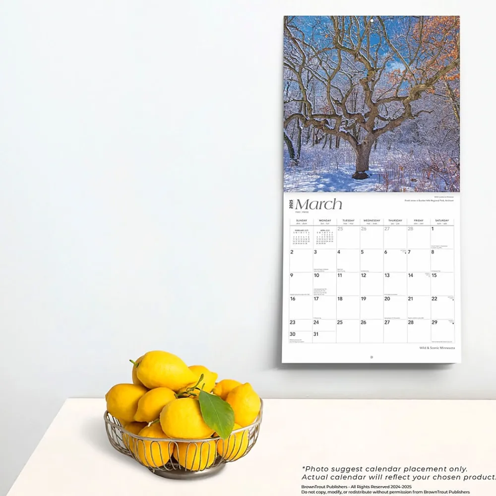 2025 Calendars|BrownTrout 2025 Minnesota Wild & Scenic 12" x 12" Monthly Square Wall Calendar (9781975475284)