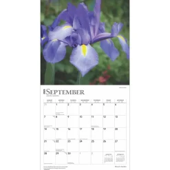 2025 Calendars|BrownTrout 2025 Monet's Garden 12