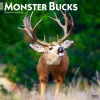 2025 Calendars|BrownTrout 2025 Monster Bucks 12" x 24" Monthly Square Wall Calendar (9781975477448)